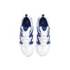 Nike Air Max Graviton Men White Blue Silver AT4525-103