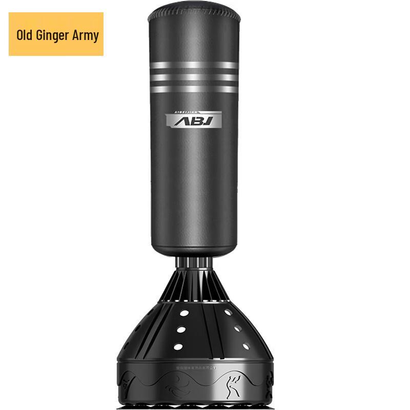 Lao Jiang Jun Home Professional Punching Bag with Gloves