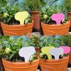 100pcs 6 X10cm Plastic Plant T-type Tags Markers Nursery Garden Labels