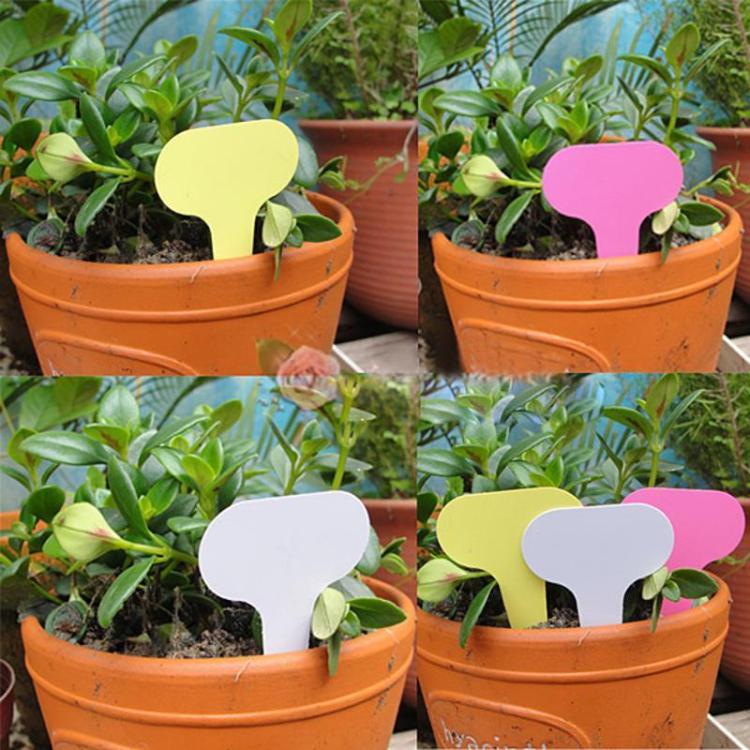 100pcs 6 X10cm Plastic Plant T-type Tags Markers Nursery Garden Labels