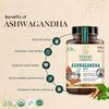 Novus Organics Combo of Premium Ashwagandha 60 Tablets- 600mg | USDA & ACO Certified Organic Ashwagandha Root Extract | Honest Single Farm Source