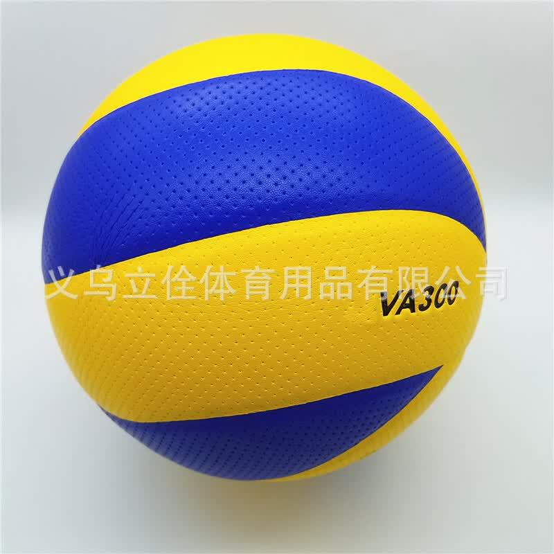 LISM V200W Student Training Volleyball