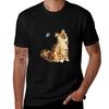 The Cat And The Blue Butterfly Tshirt Large Size Soft Cotton Tshirt