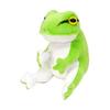 Sun Arrow Tree Frog K8674