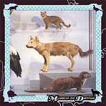 

CD COHEN, DANNY - Museum of Dannys TZ7405 Tzadik 1999 US ObiRock Used