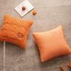 Pumpkin Decorative Pillowcase Beige Orange Seasonal Pillow Covers Cozy Square Pillow Case  Home Use