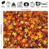 2D Vibrant Fall Maple Leaves Photography Background