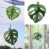 Monstera Blatt Sonnenfänger Aus Acrylmaterial Für Wandkunst Geschenk Und Feiertagsfeier