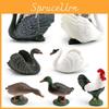 Static Bird Models In Plastic For Collectors And Kids Educational Toys With Lifelike Details