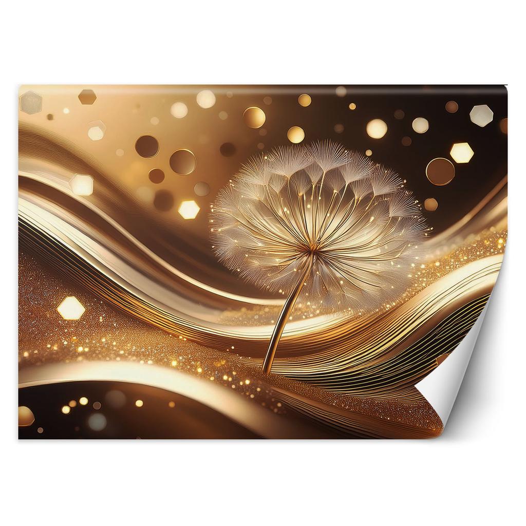 Wallpaper Flowers Dandelion Clock Glamour