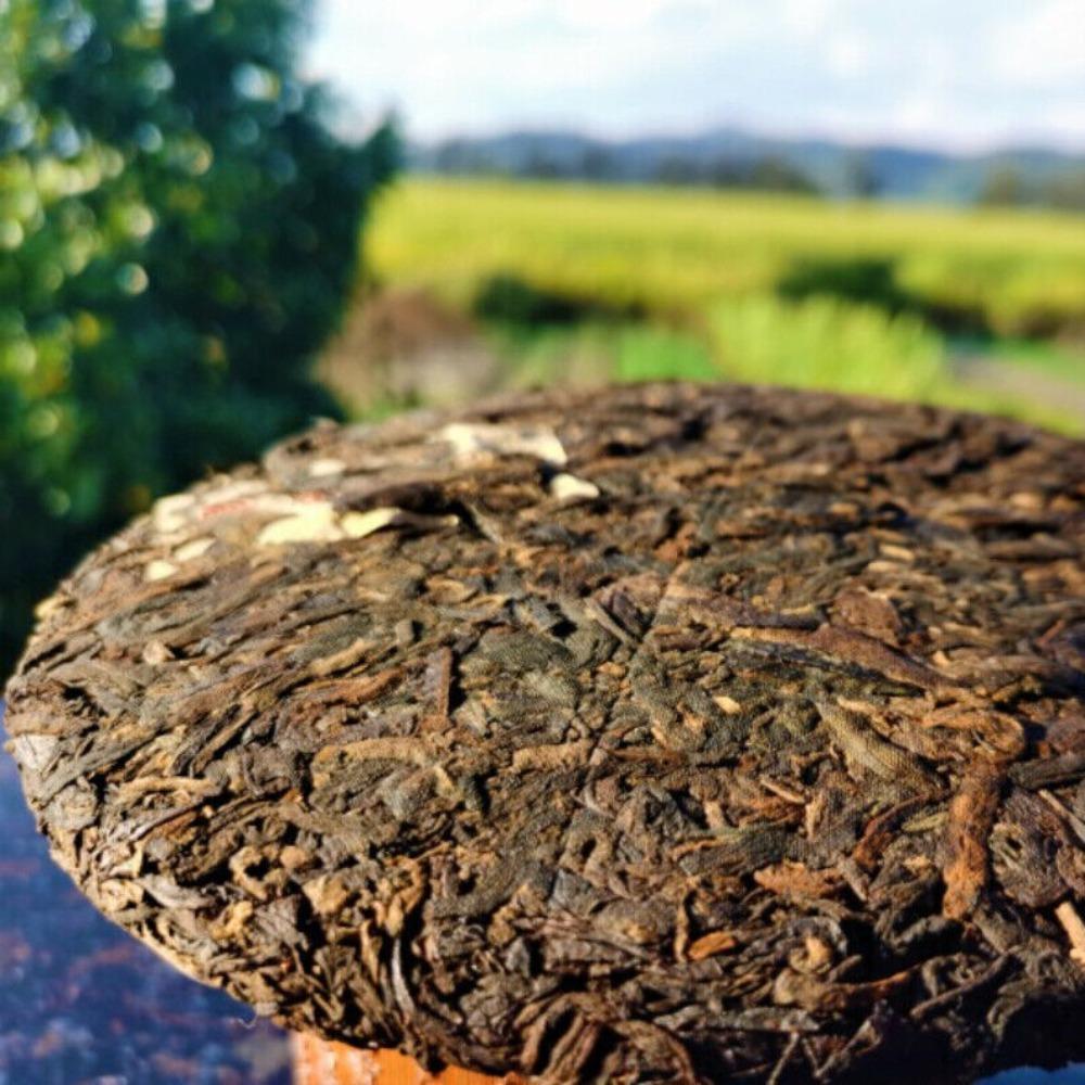 357g Yiwu Gong Pu'er Tea Cake Natural Aged Healthy Drink