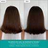 Briogeo Destined For Density Caffeine + Biotin Peptide Conditioner 8.0 Oz