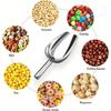 Food Scoop for Kitchen Multipurpose Scooper for Canisters Ice Cream Candy Flour Coffee Beans Popcorn Ideal for Grains and Sugar