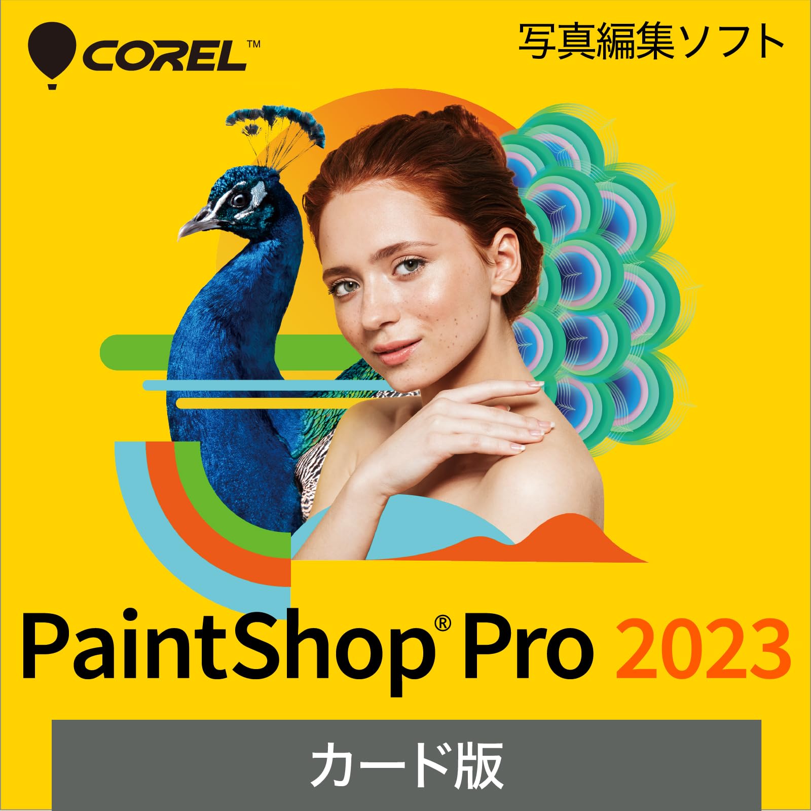 

SourceNext PaintShop Pro 2023 Photo Editing Software Windows Compatible (Latest Version)