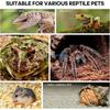 A5YD Acrylic Transparents Feeding Box Reptiles Breeding Box Climbing Pet Terrariums for Turtles Lizards Reptiles Accessories