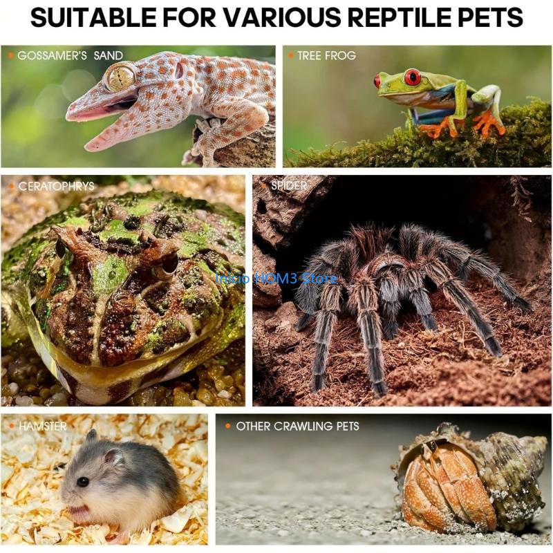 A5YD Acrylic Transparents Feeding Box Reptiles Breeding Box Climbing Pet Terrariums for Turtles Lizards Reptiles Accessories