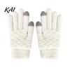 Skiing Hand Warmers 1 Pair Winter Warm Fleece Lined Gloves for Women Men, Cold Versatile Outdoor Sports Weather Thermal Gloves, Thickened Knit