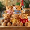 Teddy Bear Plush Toy Color Sweater Bear Doll Hug Bear Doll Bear Doll