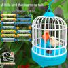 Douyin Electric Voice-Activated Bird & Puppy Cage Toy for Kids - Simulated Calls Outdoor Play Light