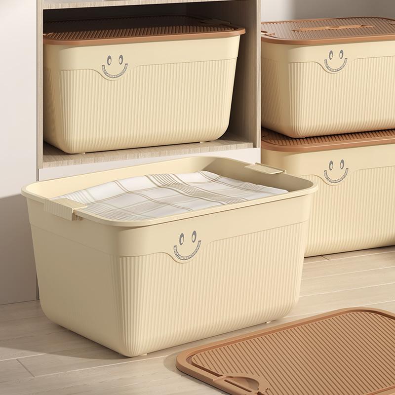 Desktop Storage Box, Snacks, Sundries, Fruit Storage Basket, Portable Plastic Home Clothing Storage and Finishing Box with Lid.