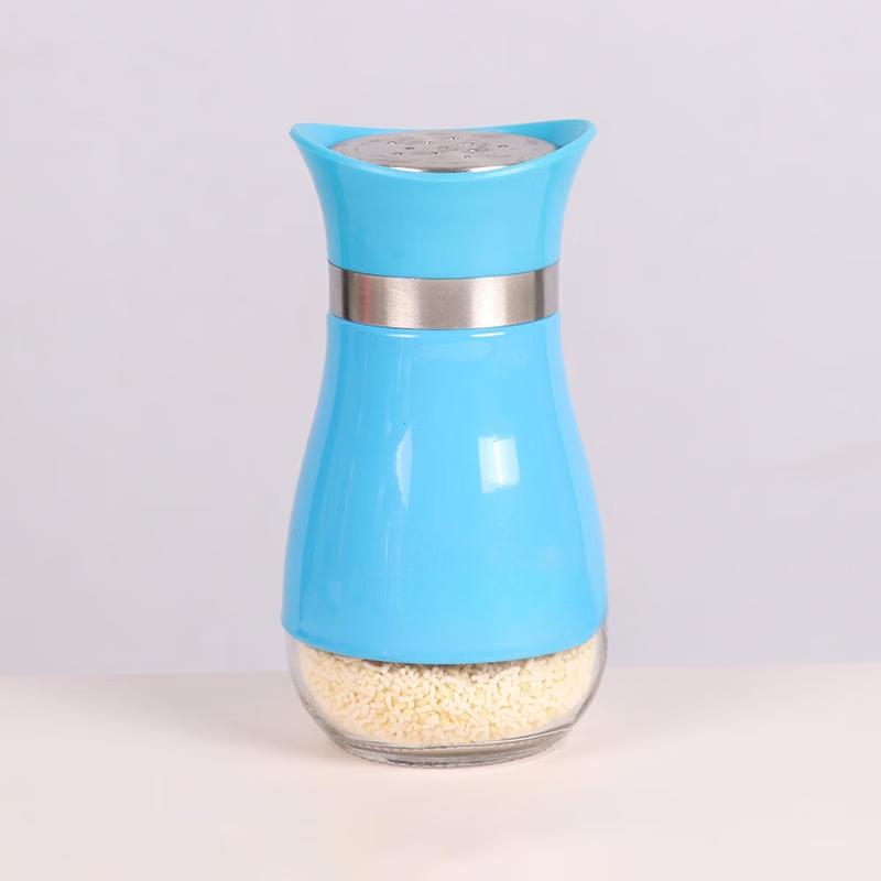 Stainless Steel Seasoning Jar