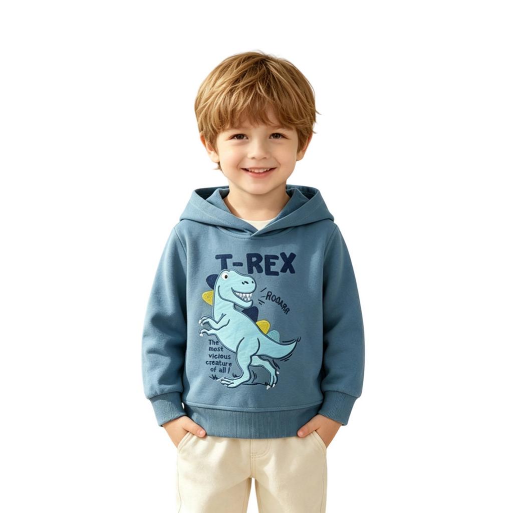 Boys Hooded Sweatshirt Embroidered Long Sleeve Pullover for Casual Wear