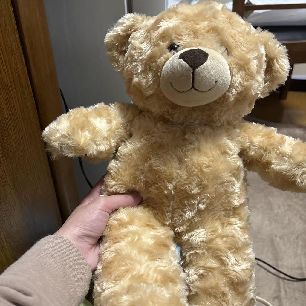 [USED] Teddy Bear Plush Toy