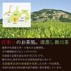 Chatsumi no Sato bulk matcha-infused genmaicha tea bags 2.5g100 pieces pack 100 Shizuoka Prefecture green