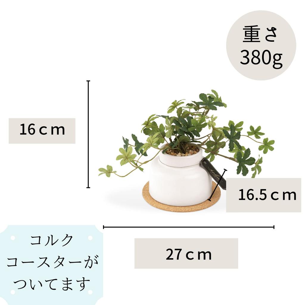 Kishima Artificial Fake Artificial Flower Air Sugar M Size Plant, Green, Non-Wilting Green, Catalyst, Deodorizing, Antibacterial, Purifying, Pine,