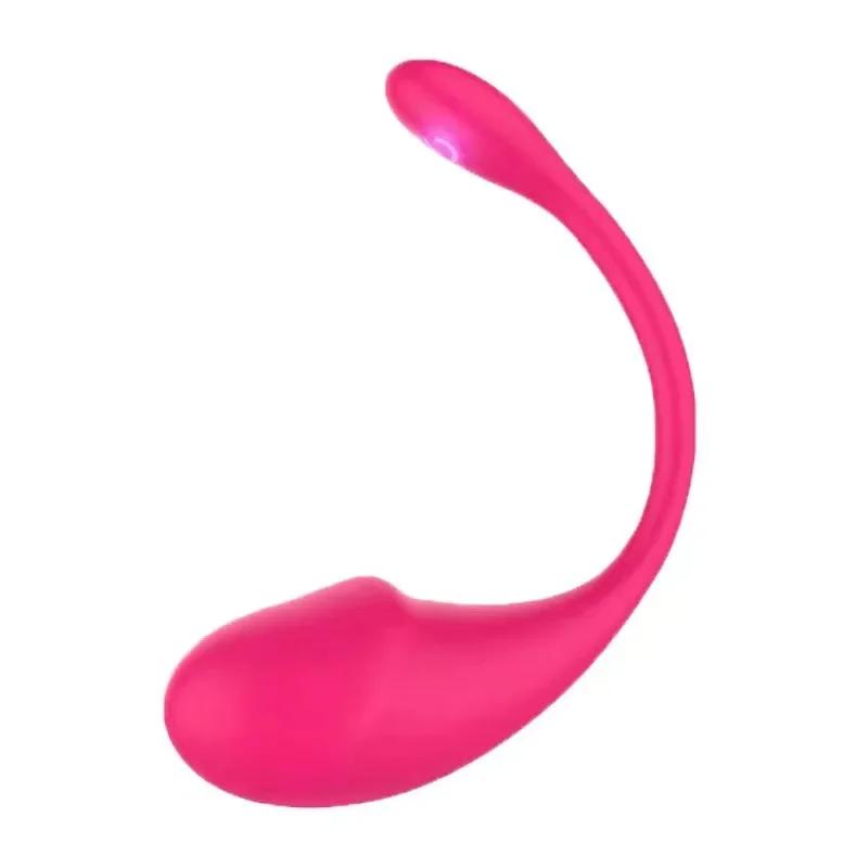 Drahtloser Bluetooth-App-Vibrator für Frauen mit Fernbedienung, Ei, Klitorisstimulator, G-Punkt-Massagegerät, Sexspielzeug für Frauen, Erwachsene, Höschen
