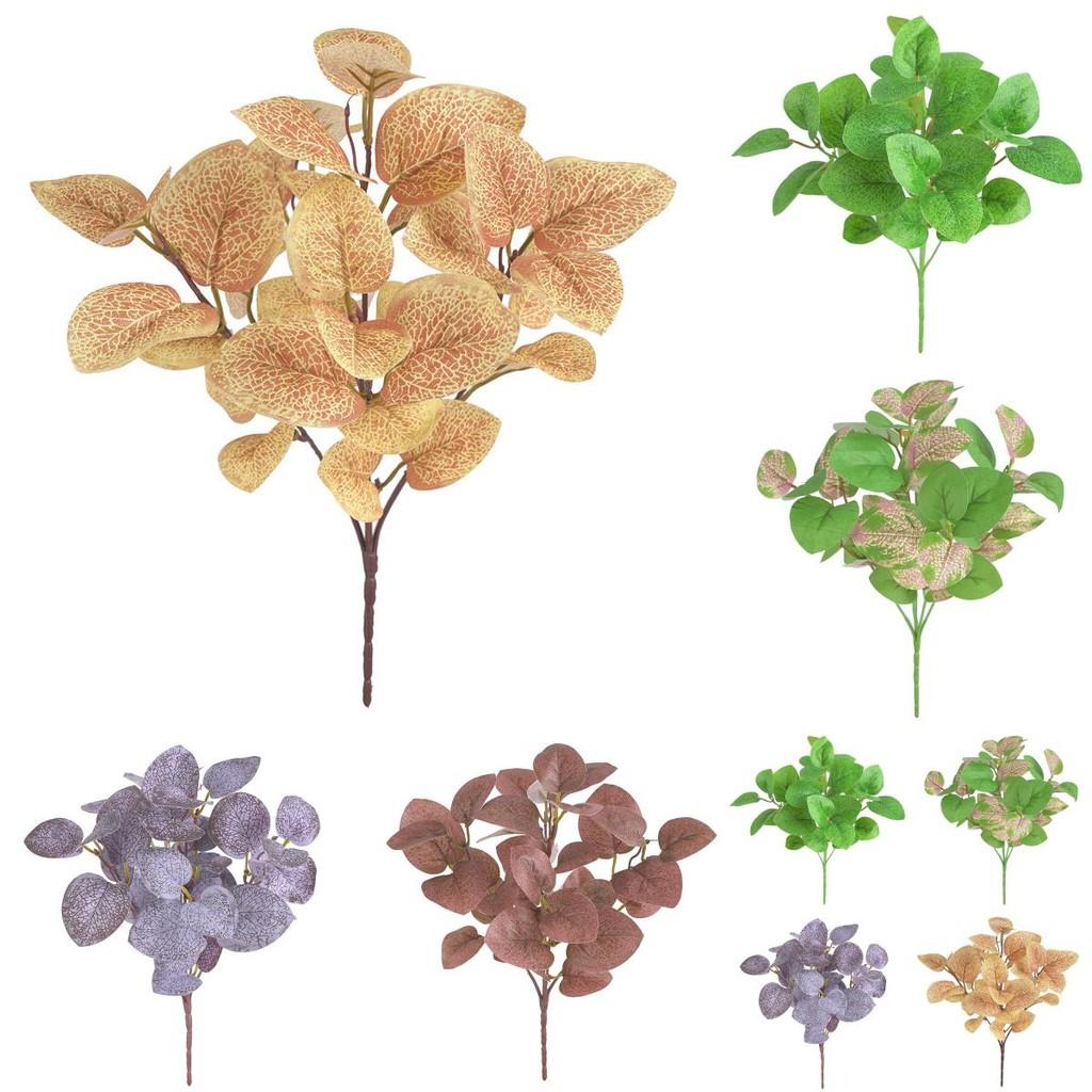 Eucalyptus For Citriodoraplant Party Floral Decor And Gift Arrangements