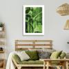 Canvas print, Green leaves on a macro scale