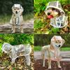 Waterproof Pet Rain Jacket Lightweight Pet Rain Poncho Transparent Dog Raincoat  Rainning Days