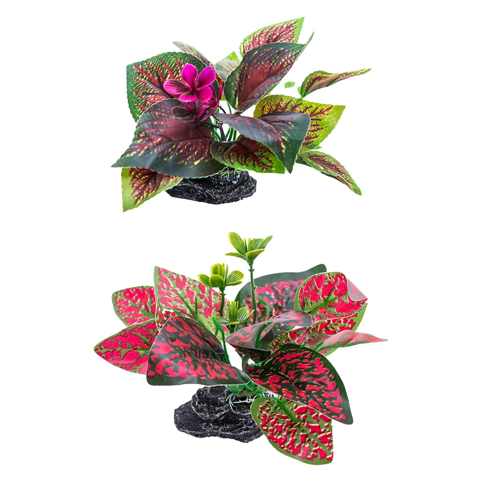 

Аквариумы Ландшафт Искусственное растение Аквариумы Ландшафтное оформление для разведения креветок Ландшафтные украшения Большое ремесло E