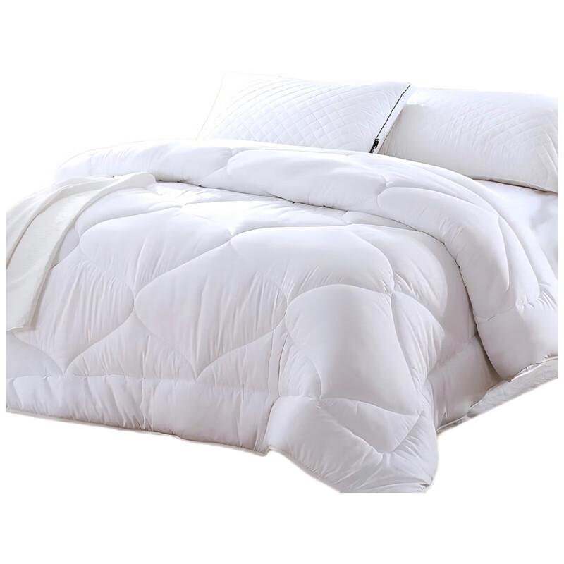 

LOVO Floral Cloud Soft All-Season Quilt