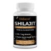 Didacat Altai Shilajit Resin Supplement 1000mg, 85+ Trace Minerals, Fulvic Acid & Humic Acid, Siberian Mountains, 120 Cpas