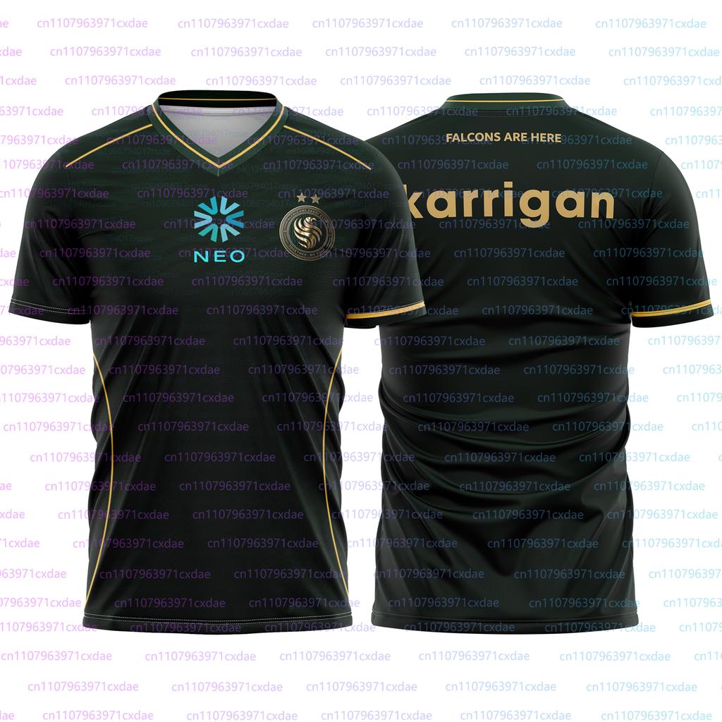 Team Falcons 2026 Training Uniforms CS2 Esports Karrigan Fans Jersey New Design Gaming Custom ID T-shirts Men's 3D V -Neck Tees