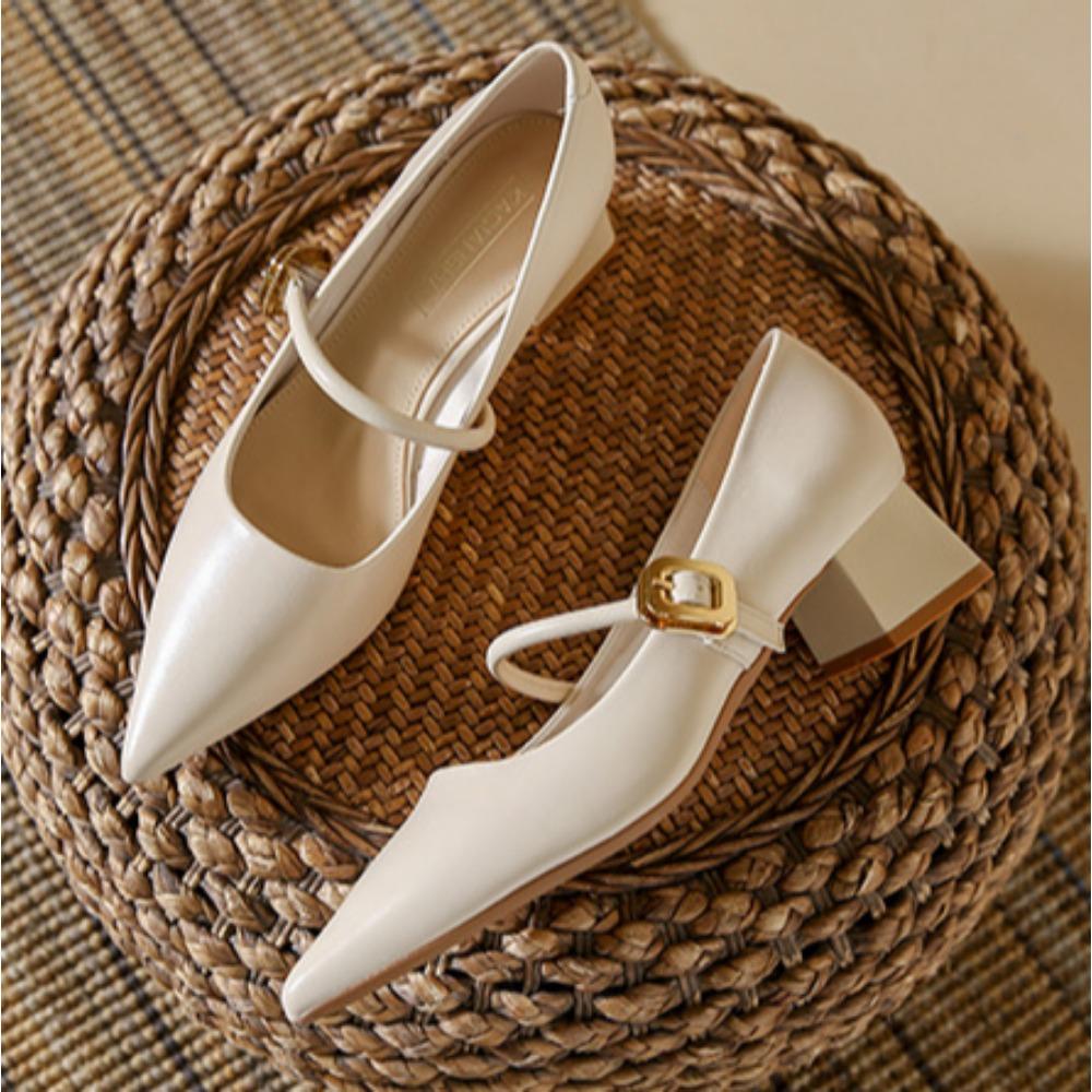 Fashion Single Shoe Women's 2025 Summer New Retro French High Heels with Pointed Toe and Mid Heel Mary Jane Womens Shoes Ladies Pumps