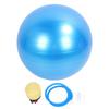 Extra Thick Exercise Ball PVC Anti Burst Inflatable Gym Ball with Pump for Pilates Balance Stability Core Workout