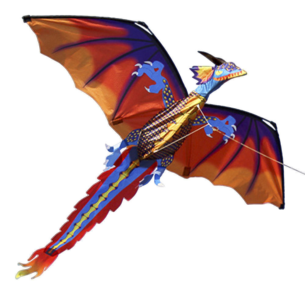 140cm x 120cm Celsius 55 x 47 Inch Dragon Kite Single Line Flying Kite with Tail 100m Flying Line for Kids Adults