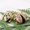 Cartoon Insect Brooch For Women And Men With Sparkling Alloy Finish Spring