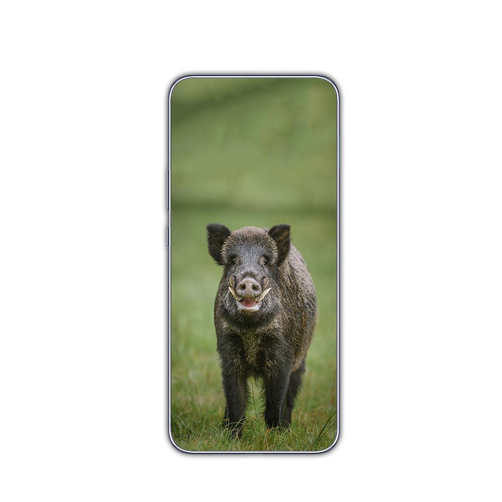 

Animal Wild Boar Pig Phone Casing Cover for Motorola Moto G13 G14 G53 G54 G62 G72 G82 G84 E13 E20 G42 G32 G23 G22 Soft Case Moto G14