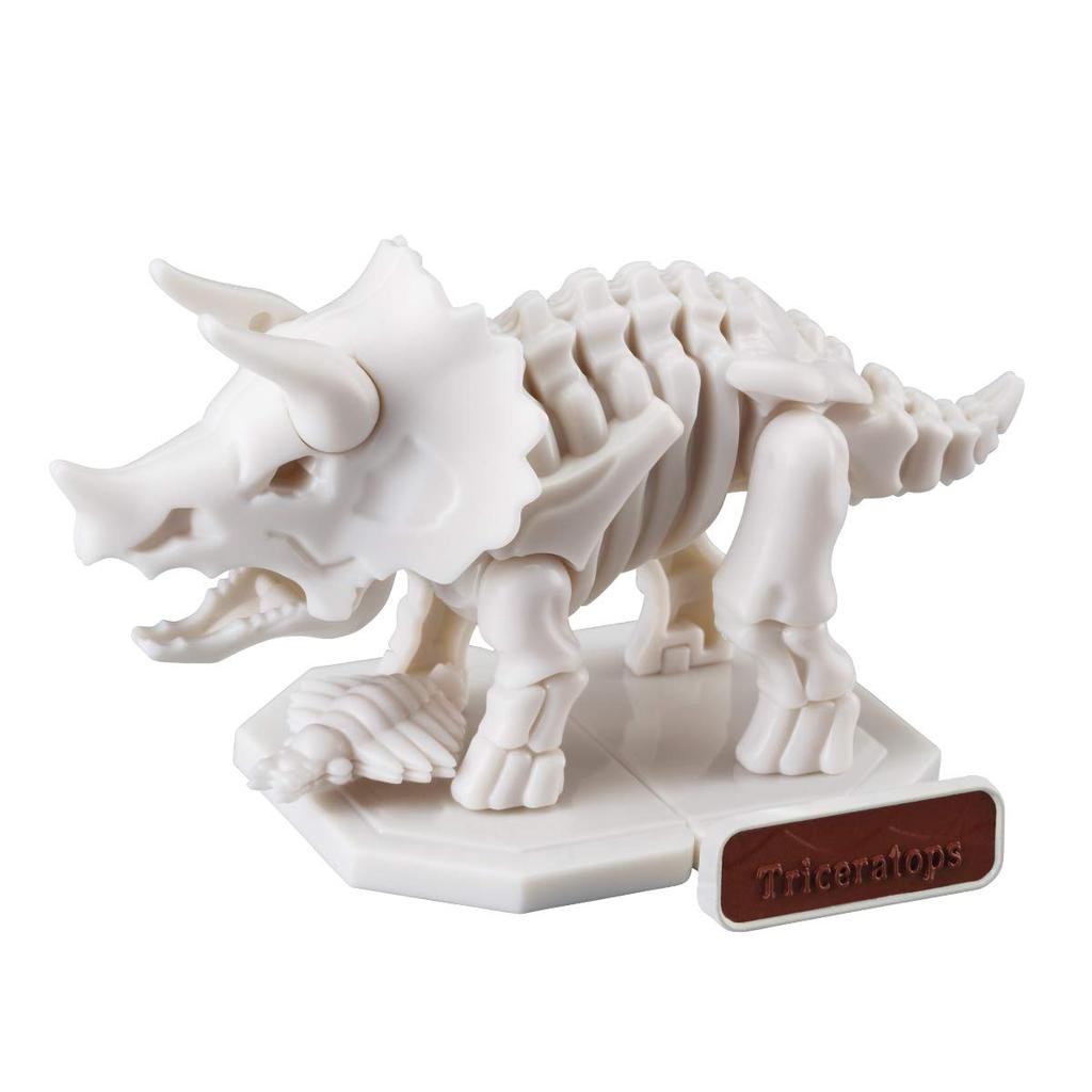 Charapaki Excavation Dinosaur Plastic Kit: Triceratops