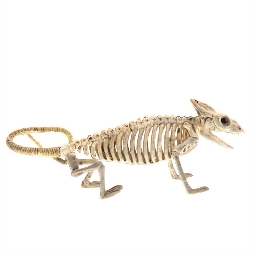 Bat Mouse Lizard Scorpion Halloween Bats Skeleton Skeleton Model Animal Model Halloween