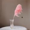 Dried Pampas Grass Natural Pampas Grass Bouquet Large Reed Dried Flowers for Boho Home Decor