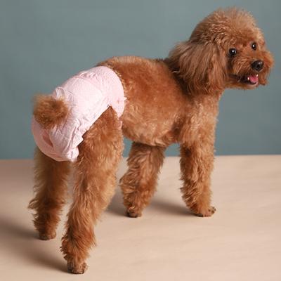 10Pcs Stretchy Dog Diapers with Tail Hole Super Absorbent Leak-proof Female Puppy Diapers for Incontinence Heat Period Training