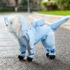 Rainy Day Dog Walking Leash & Tail-Wrap Raincoat for Small/Medium Dogs