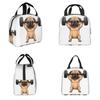 Pug Dog Weight Lifting Exercise Fitness Gym Workout Insulated Lunch Bag for Women Children Food Boxes Thermal Lunch Box Tote