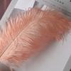 22-Color Ostrich Fur Big Feathers Wedding Background Wall Decorative Wall White Pink Feather Flower Arrangement 20-25Cm
