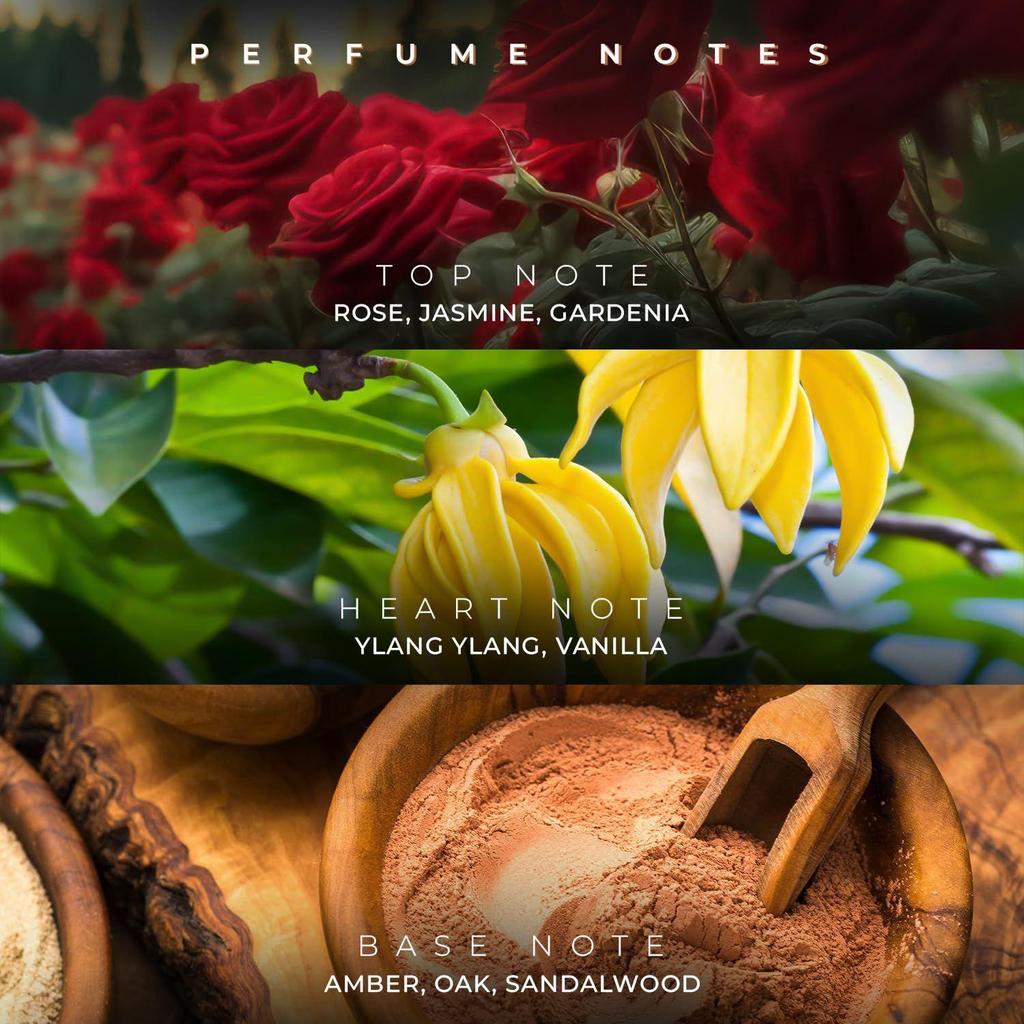 French Factor Lady Noir Perfume For Women With Floral Amber Notes Long Lasting Eau De Parfum Gift For Girls